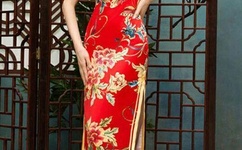 把女人弄爽特黄A大片片